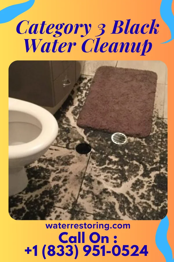 Category 3 Black Water Cleanup in West Bend, IA